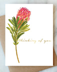 Protea Thinking Of You Card