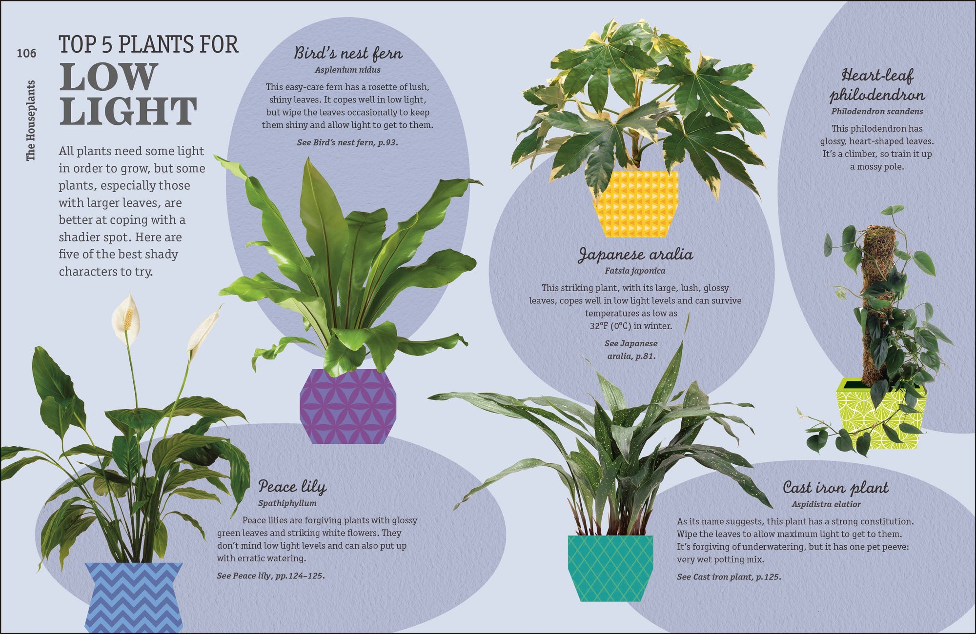 How Not To Kill Your Houseplant book