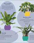 How Not To Kill Your Houseplant book