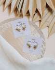 Sun Ray - White Opal - Gold Earrings
