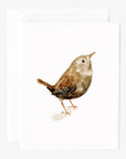 Birds assorted notecard set
