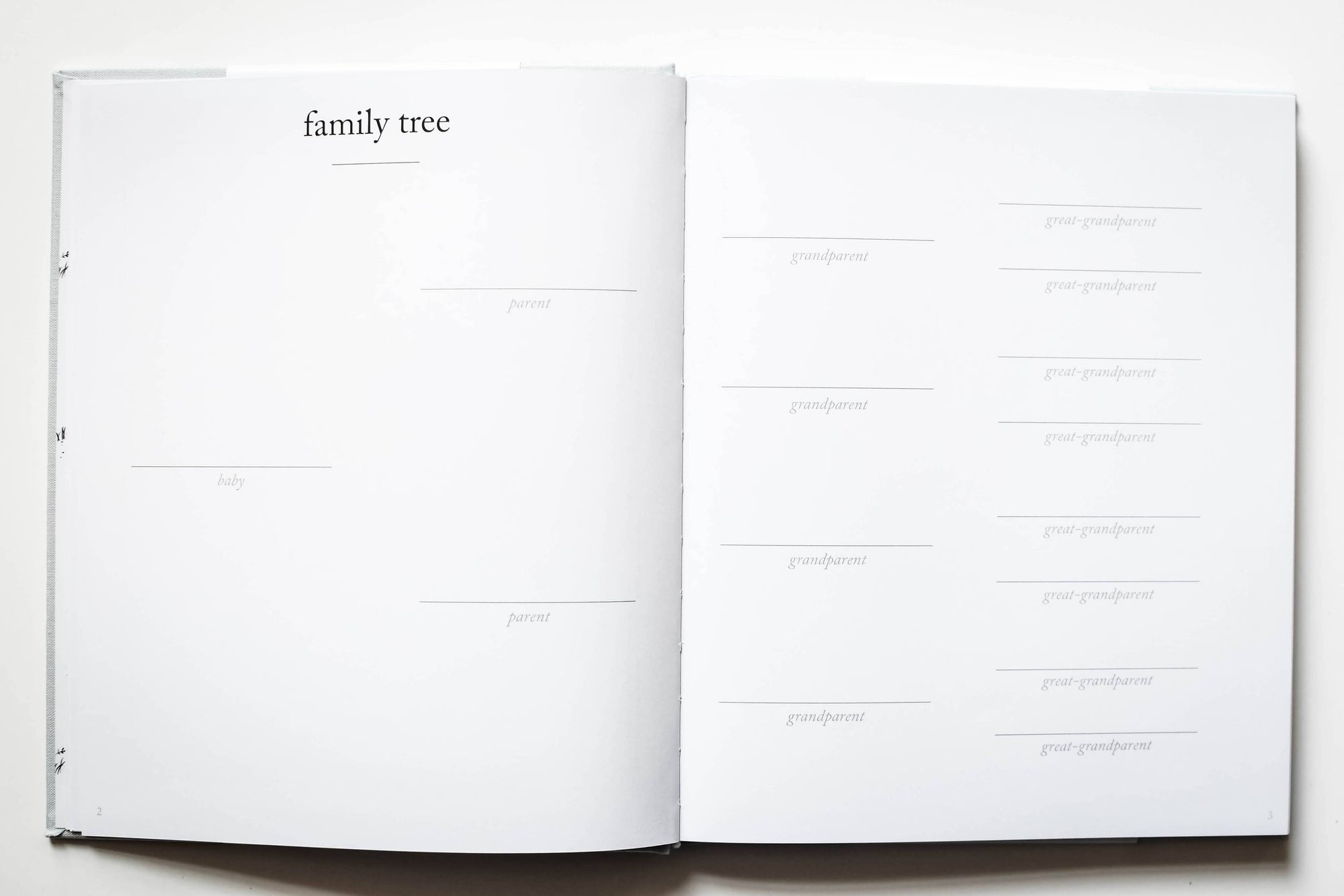 Baby's First Year Memory Book &amp; Photo Album | Mother's Day