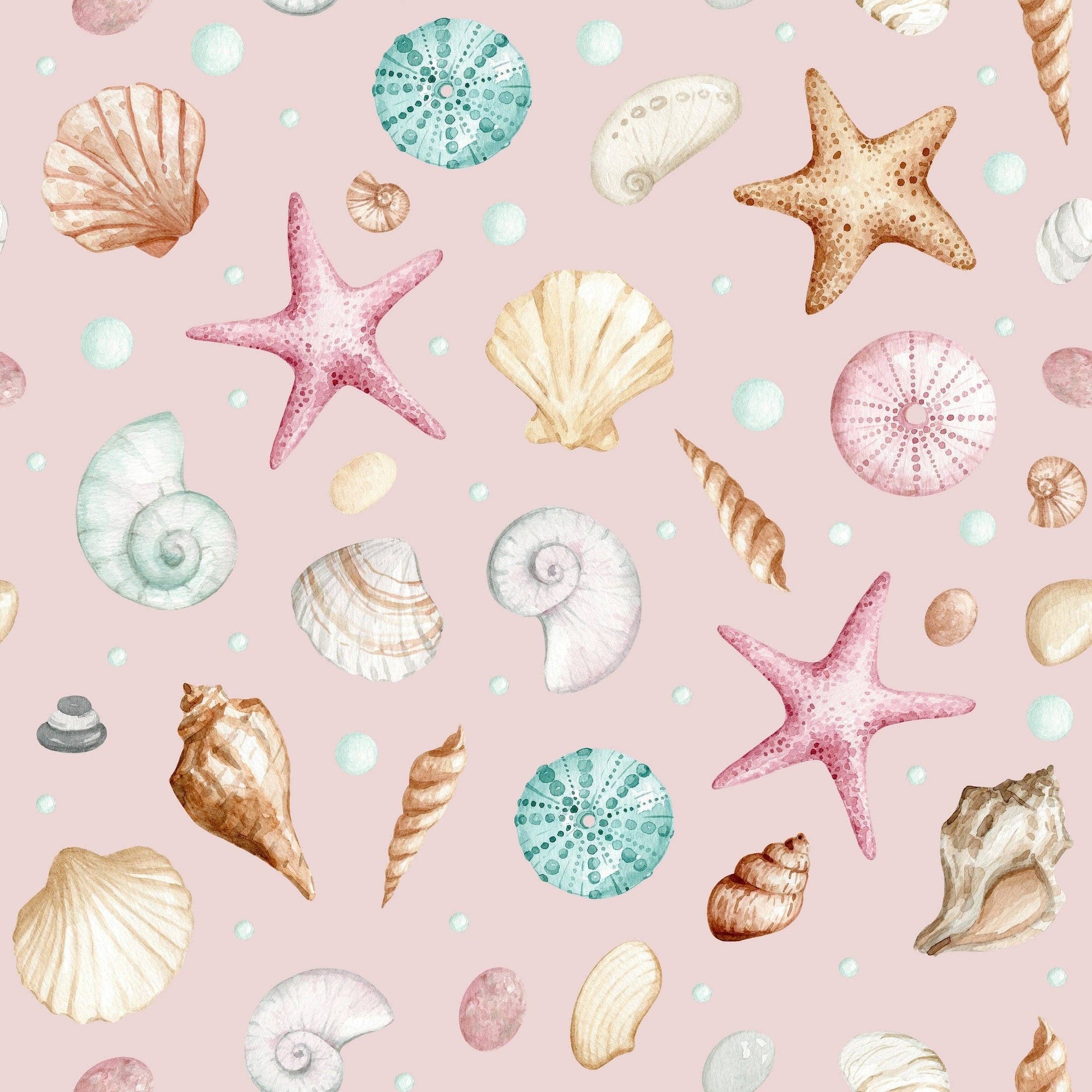 Beau Bottles Pink Seashells - Prosecco Collection