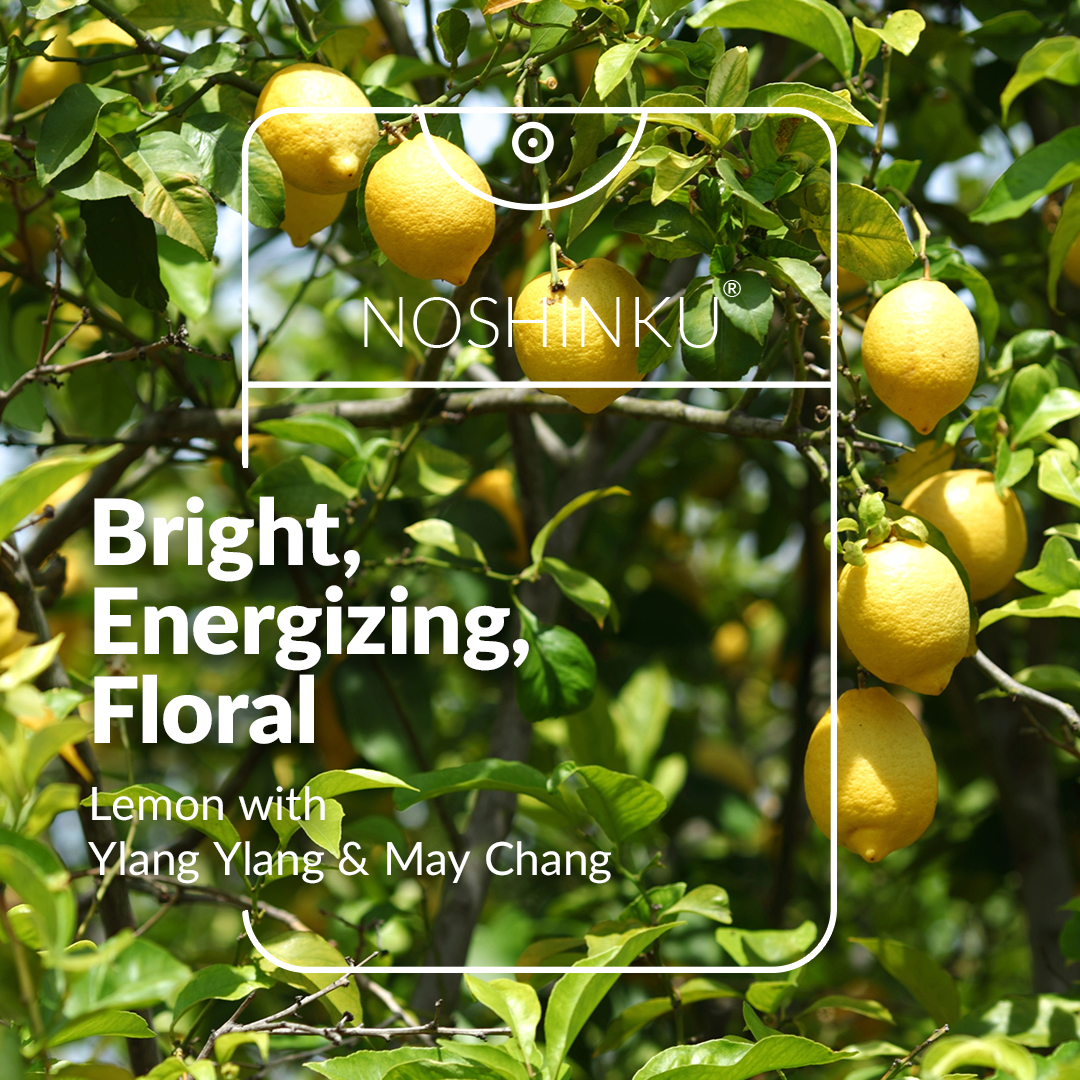 Refillable Lemon Ylang-Ylang Moisturizing Pocket Sanitizer