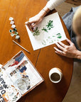Snowy Woods Paint-By-Numbers kit