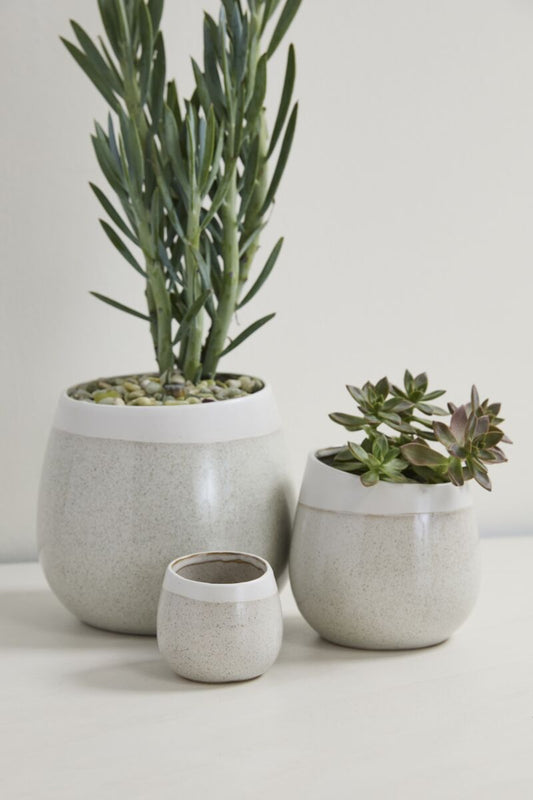 Choice Pot
