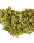 Moss Filler