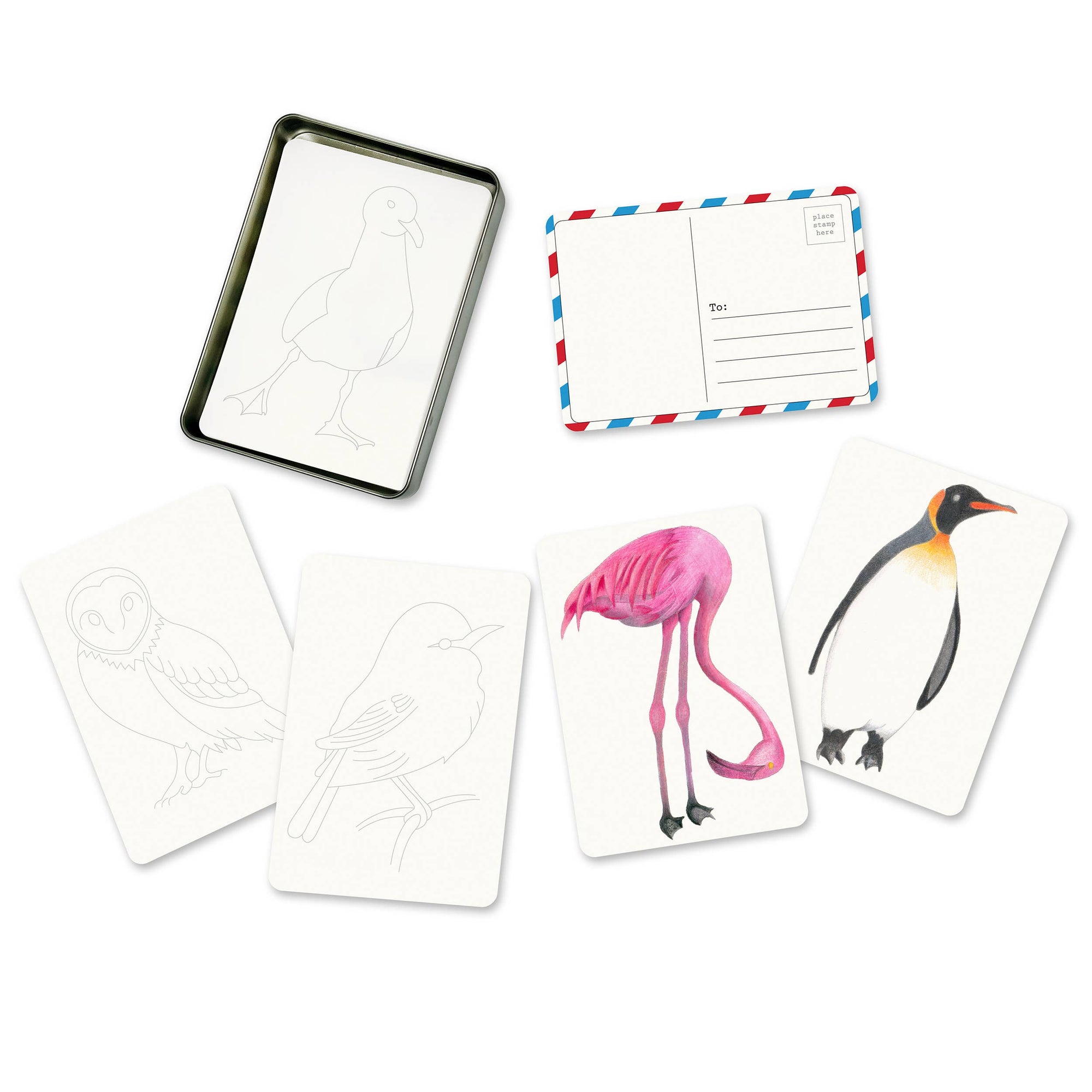 Coloring Postcards w/ 6 Bird Designs (30cards) Stationary
