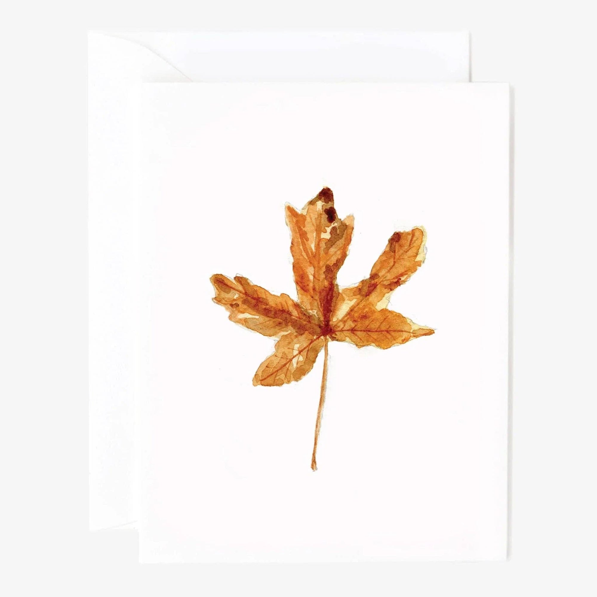Autumn assorted notecard set