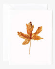 Autumn assorted notecard set