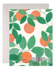 Orange Grove Thank You Boxed Card Set