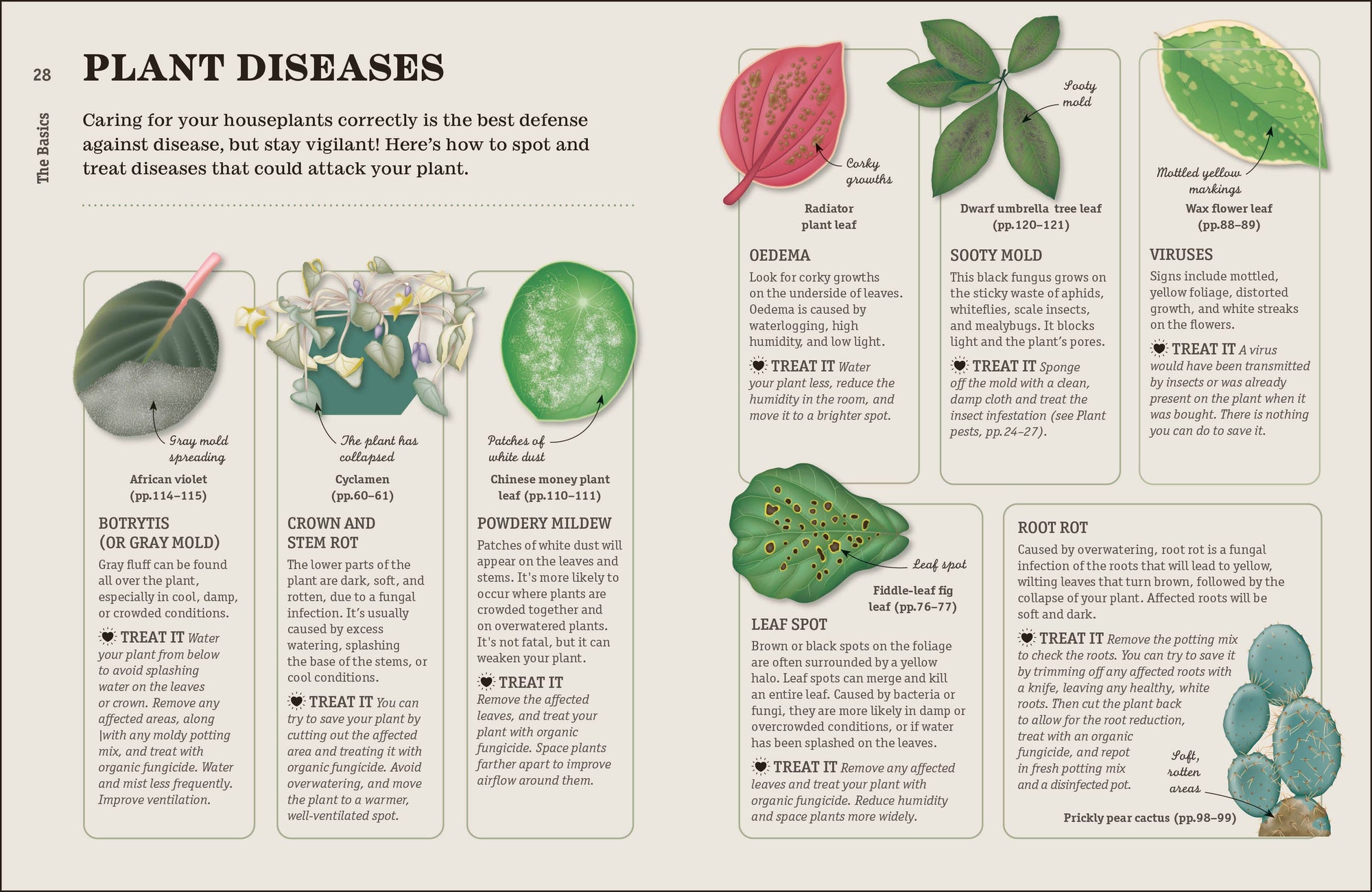 How Not To Kill Your Houseplant book