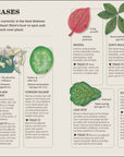 How Not To Kill Your Houseplant book